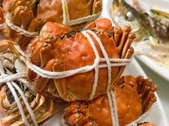 -太湖好灶头土菜馆(石公路店)