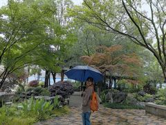 -墨池公园