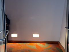 -华特·迪士尼音乐厅