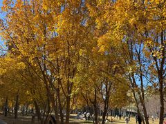 -回龙观体育文化公园