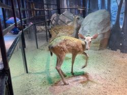 -酷嗒动物文化乐园(cutezoo西溪乐天城店)