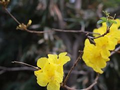 -成都宽窄巷子漫心酒店