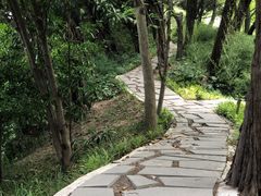 -嘉定紫藤园