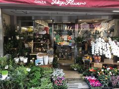 -斯普汇生蚝牛排馆(中骏世界城店)