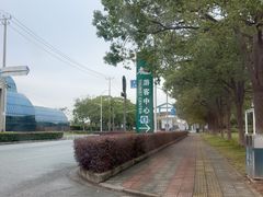 -上海鲜花港