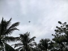 -红树湾(地铁站)