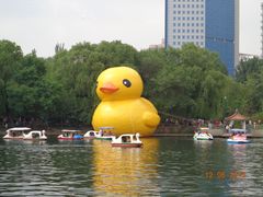 景点-沈阳南湖公园