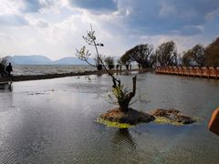 -呈贡滇池生态湿地公园