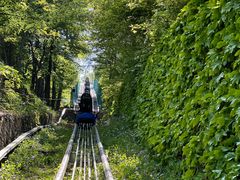 -沂蒙山旅游区云蒙景区(蒙山国家森林公园)