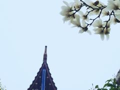-皇罗禅寺