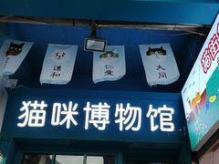-猫咪博物馆(顶澳仔猫街店)