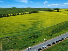 -顶顶汤火牛排火锅·经典铜锅涮肉