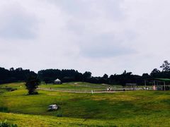-保利石象湖景区