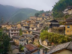 -杨家堂村