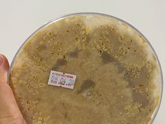 -金燕西洋牛油糕葡式食品