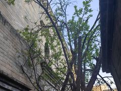 -康百万庄园