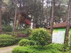 -铁山坪森林公园