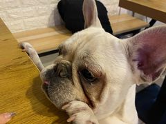 -平行世界·猫咖(首经贸店)