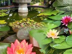 -国家植物园南园