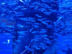 -波塞冬旅游度假区