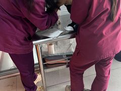 -瑞派福兴宠物医院犬猫全科·骨科·中西医结合(河东店)