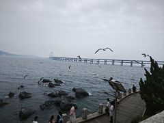 -黑石礁公园