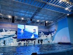 -福州罗源湾海洋世界旅游区