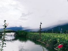 -大理洱海