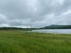 -御道口草原森林风景区