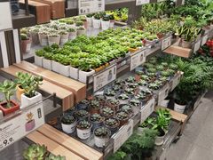 -鹿岛生活(熙地港店)
