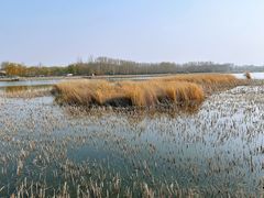 -野鸭湖国家湿地公园