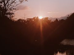 -福田红树林生态公园