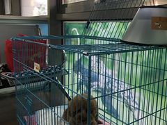 -甄爱宠物医院(疏影路店)