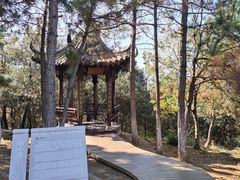 -南京市无想山景区