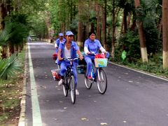 -合肥滨湖国家森林公园