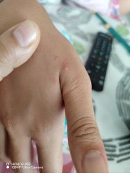 -奇幻丛林(佛罗伦萨小镇店)