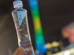 -珠江夜游西堤码头