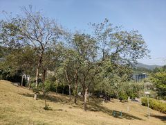 -中国移动南方基地