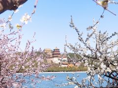 -颐和园