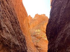 -天山神秘大峡谷
