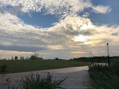 -春花秋色城市公园