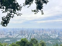 -大蜀山国家森林公园
