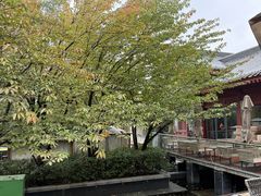 -莲西餐(曲江店)