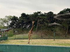 -沈阳森林动物园