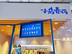 -春丽小马(济南恒隆广场店)