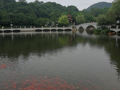 -大连植物园