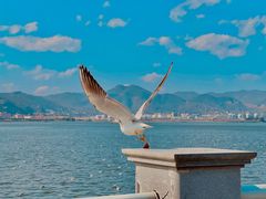 -海埂大坝