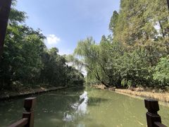 -同里国家湿地公园