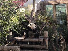 -青藏高原野生动物园