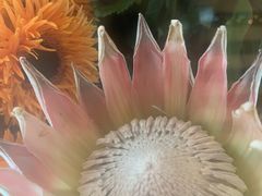 -L.C FLORA花予你(城西银泰城店)